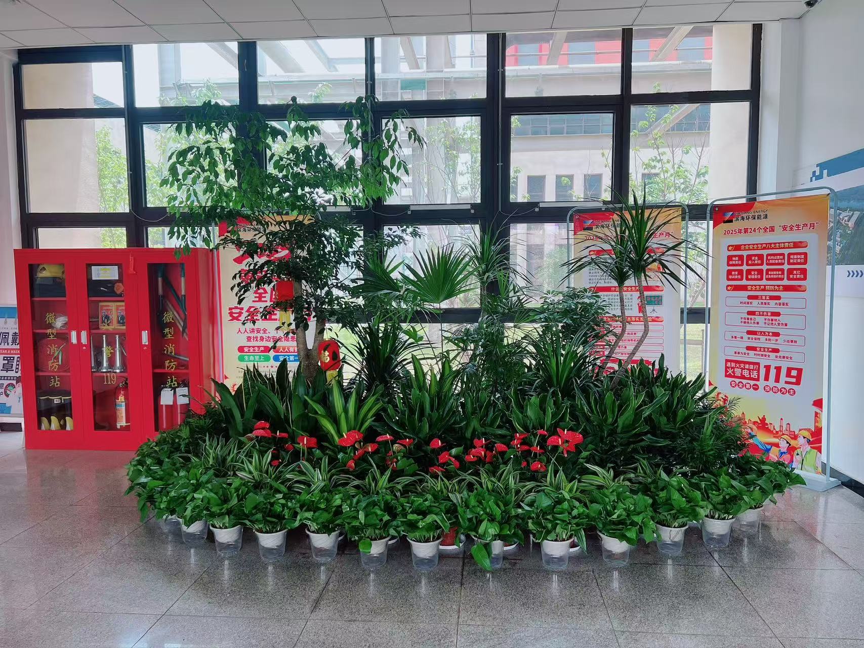 领略宁波前湾植物租赁，畅享清新绿意风